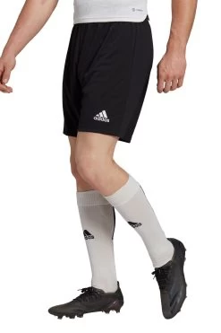 Adidas Entrada 22 Shorts
