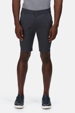 Regatta Grey Sandros Shorts